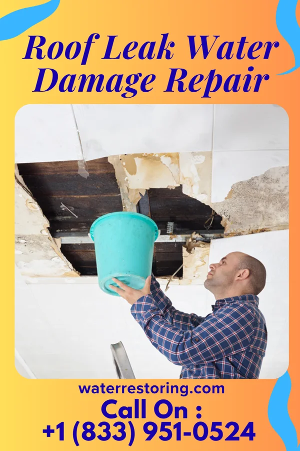 Roof Leak Water Damage Repair in Le Claire, IA
