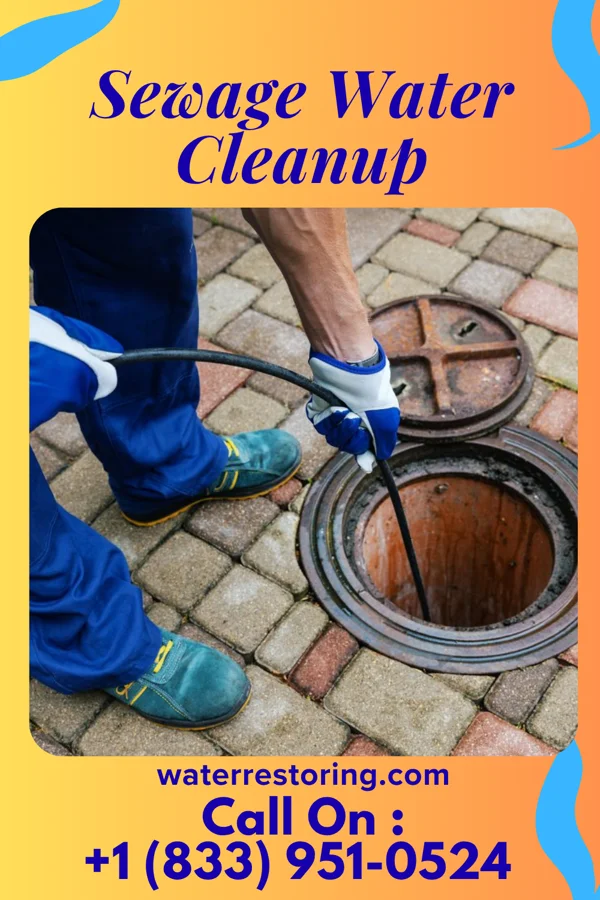 Sewage Water Cleanup in Le Claire, IA